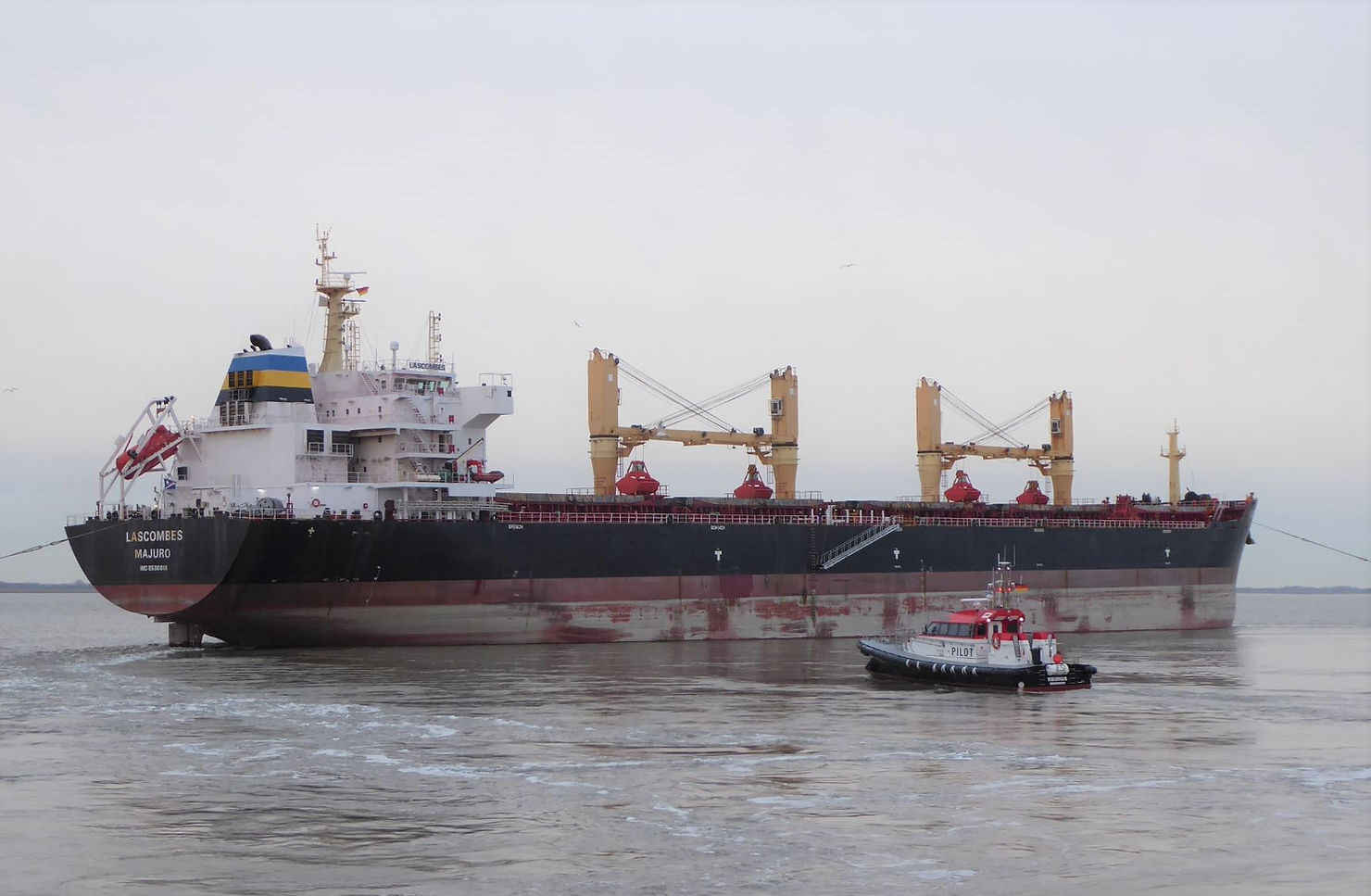 c9c028_d546edf2c73947b48142a96e2529b5b6~mv2